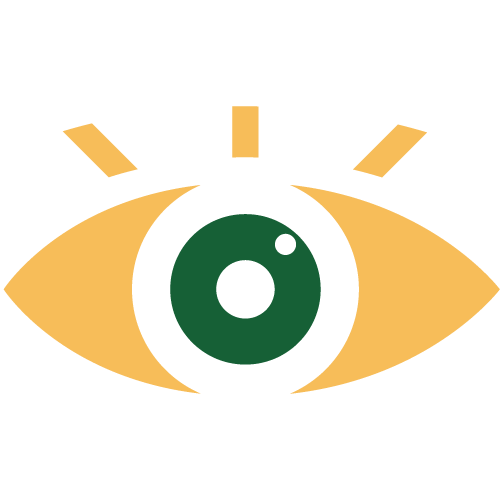 vision
